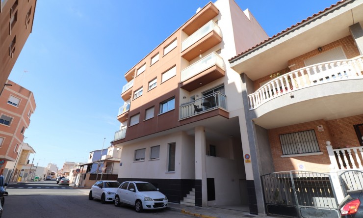Apartment - Rental - Formentera del Segura - Formentera - Village