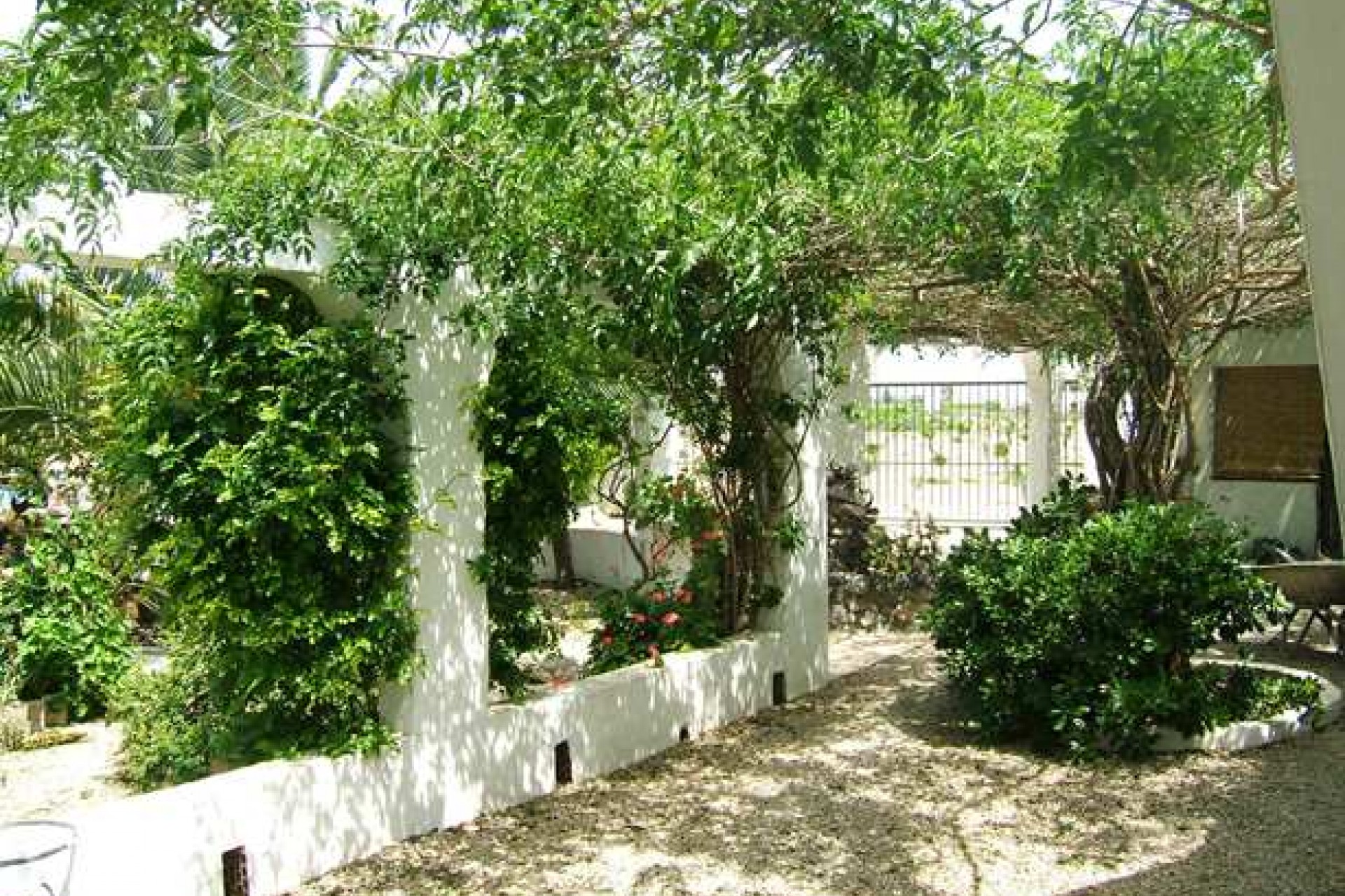 Re-Sale - Country Property - Orihuela - San Bartolome