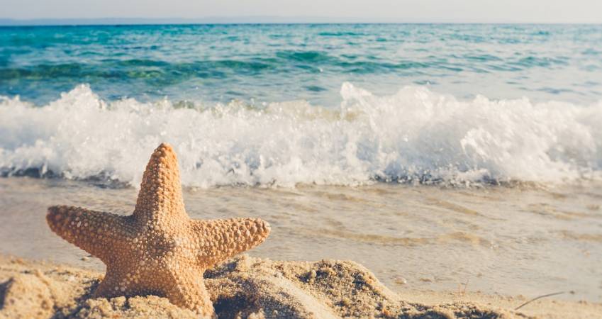 Para comprar apartamentos nuevos en Orihuela Costa - España te ha de gustar el sol y la playa