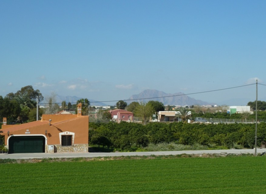 Rental - Country Property - Formentera del Segura - Formentera - Country