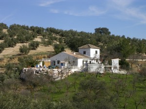 Ambitions rurales de Maison espagnole chasseurs