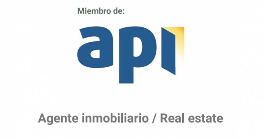 Descubre la diferencia: Vincent Real Estate y su afiliación a la API en la Comunidad Valenciana